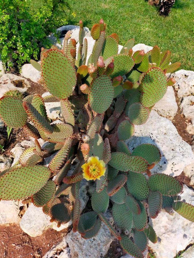 Il Giardino Deluxe Villa Lizzanello Eksteriør bilde