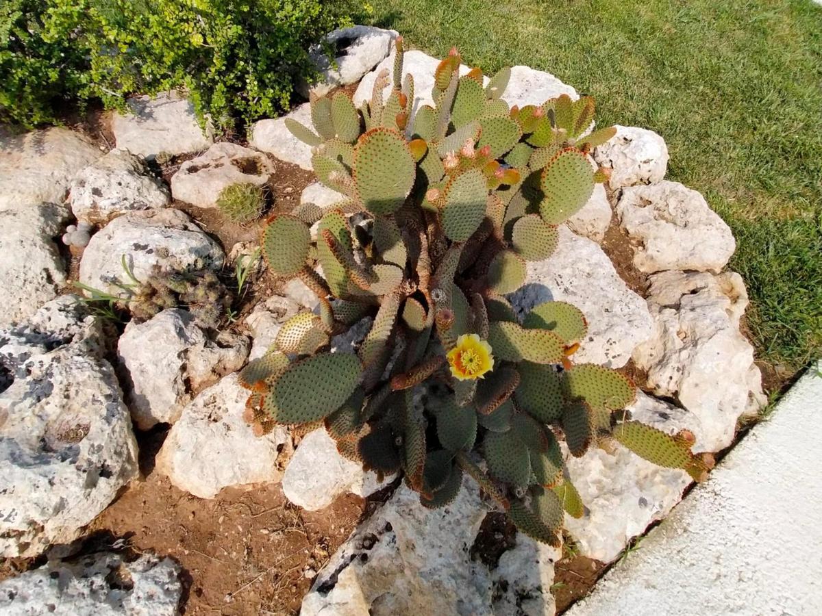 Il Giardino Deluxe Villa Lizzanello Eksteriør bilde